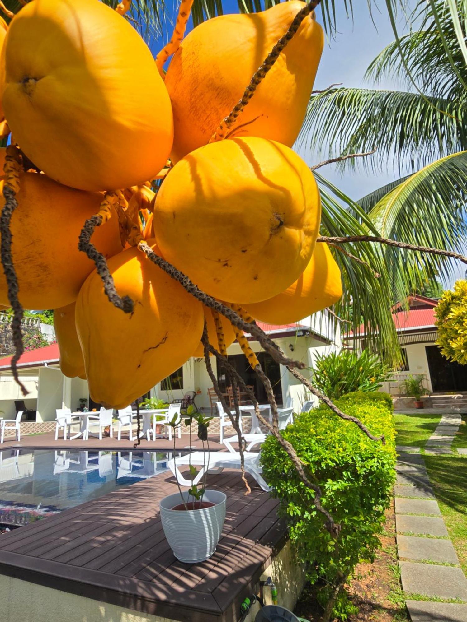 Emma'S Guest House And Self-Catering Au Cap ภายนอก รูปภาพ