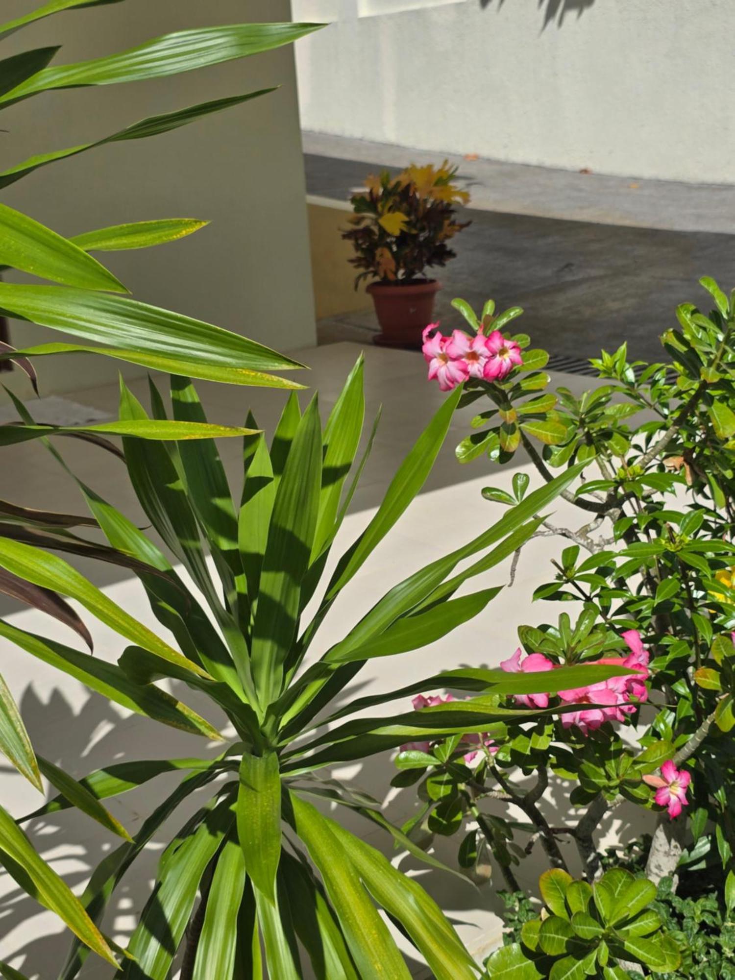Emma'S Guest House And Self-Catering Au Cap ภายนอก รูปภาพ